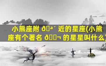 小熊座附 🪴 近的星座(小熊座有个著名 🐬 的星星叫什么)
